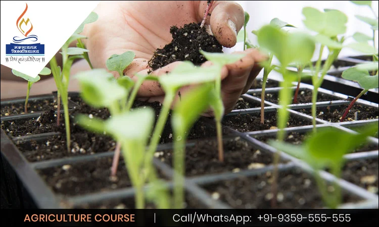 career-opportunity-scope-after-an-agriculture-course-in-india