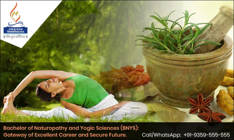 bachelor-of-naturopathy-yogic-sciences-bnys-gateway-of-excellent-career-and-secure-future