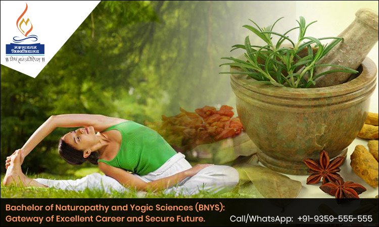 Bachelor of Naturopathy and Yogic Sciences (BNYS): Gateway of Excellent Career and Secure Future.